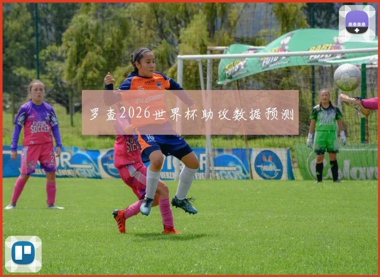 罗查2026世界杯助攻数据预测