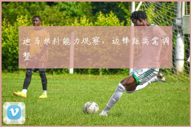 迪马尔科能力观察，边锋距离需调整