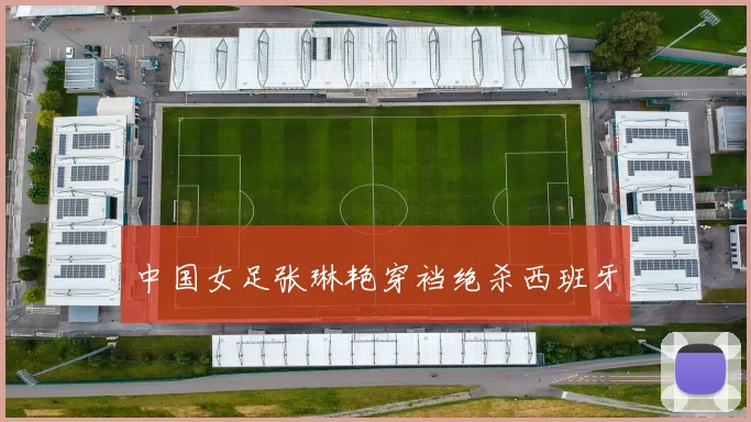 中国女足张琳艳穿裆绝杀西班牙