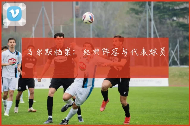 马尔默档案：经典阵容与代表球员