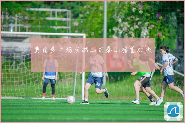 费南多主场点燃山东泰山榜首对决