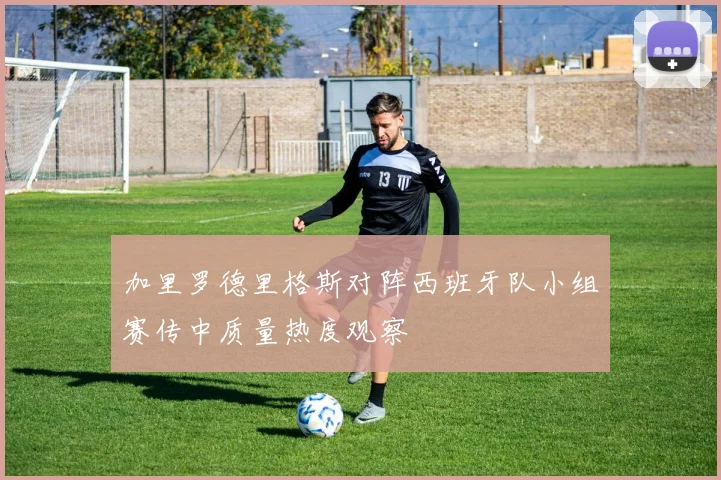 加里罗德里格斯对阵西班牙队小组赛传中质量热度观察