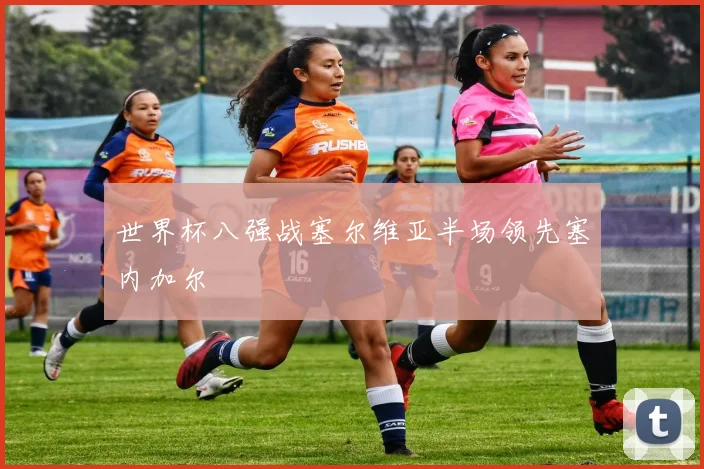世界杯八强战塞尔维亚半场领先塞内加尔