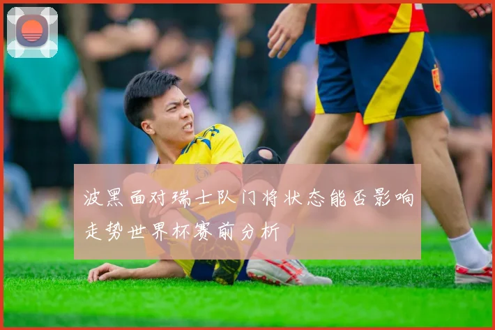波黑面对瑞士队门将状态能否影响走势世界杯赛前分析