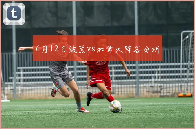 6月12日波黑vs加拿大阵容分析