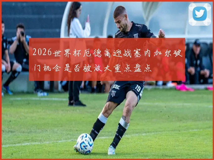 2026世界杯厄德高迎战塞内加尔破门机会是否被放大重点盘点