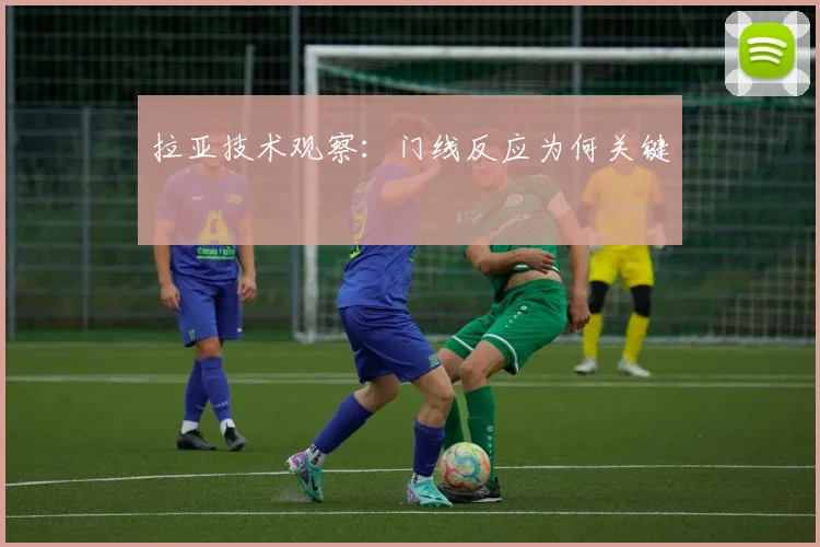 拉亚技术观察：门线反应为何关键