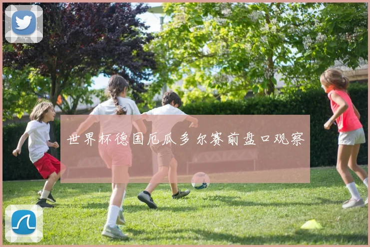 世界杯德国厄瓜多尔赛前盘口观察