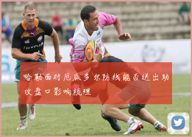 哈勒面对厄瓜多尔防线能否送出助攻盘口影响梳理