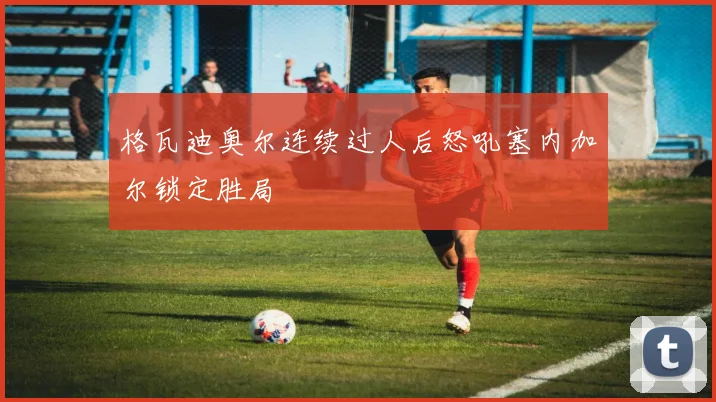 格瓦迪奥尔连续过人后怒吼塞内加尔锁定胜局